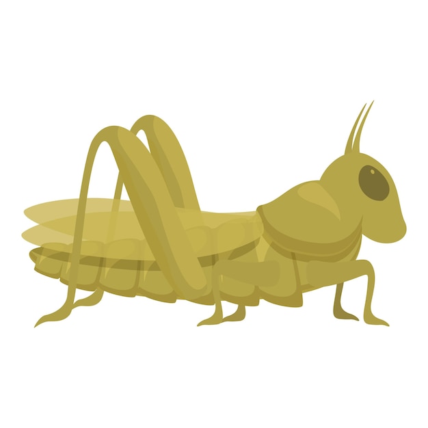 Vecteur vector de dessin animé de l'icône de la sauterelle insecte mignon