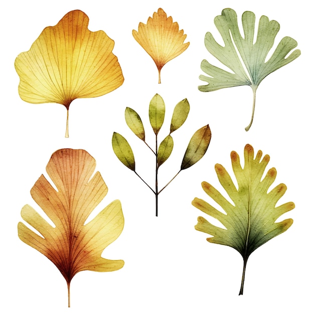 Vector Dessiné à La Main Aquarelle Feuilles Florales Illustration Clipart