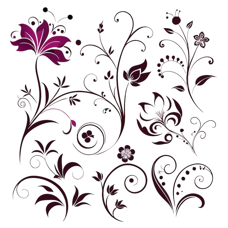 Vecteur vector divers dessins floraux différents 24