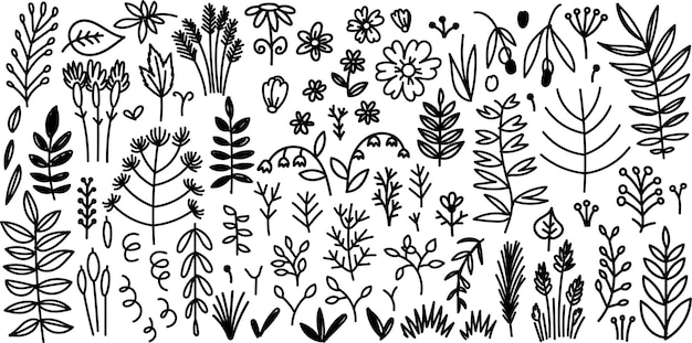 Vecteur vector doodle nature set fleurs et feuilles éléments simples