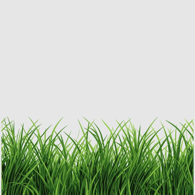 Vector d'herbe pour votre conception