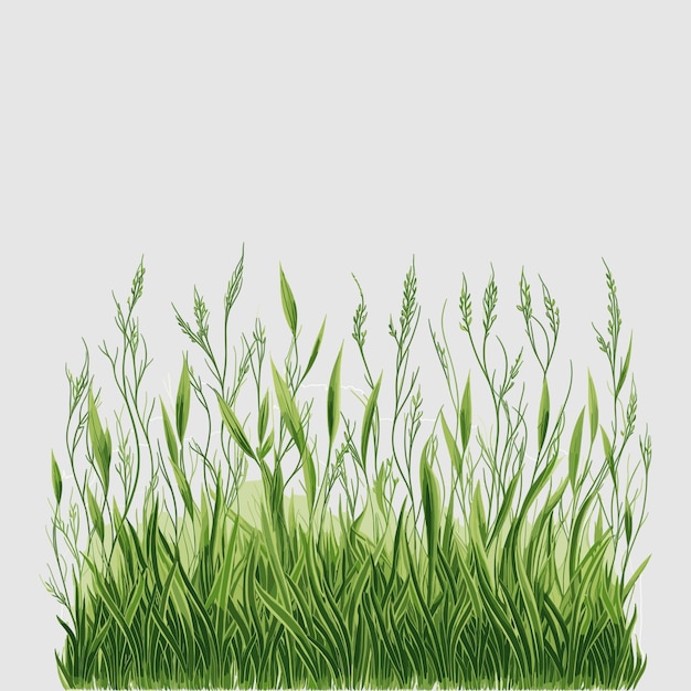 Vecteur vector d'herbe pour votre conception