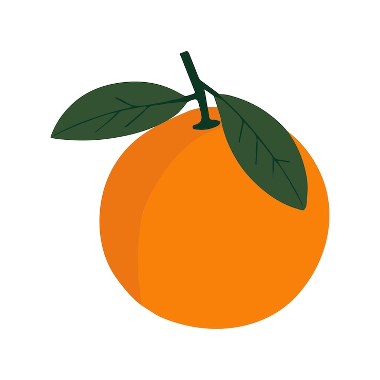 Vecteur vector d'icône de clipart de fruit orange sur fond blanc
