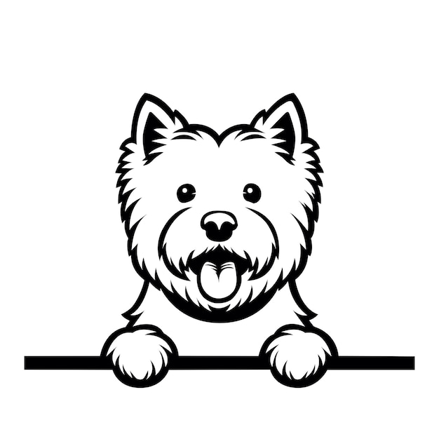 Vector d'illustration du visage du terrier blanc noir et blanc des Highlands de l'Ouest