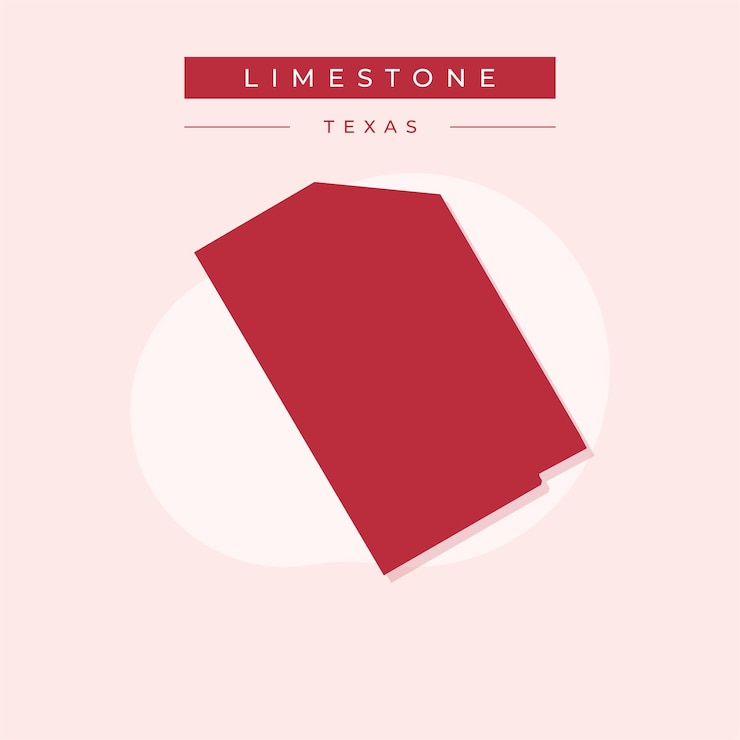 Vecteur vector illustration vecteur de la carte calcaire du texas