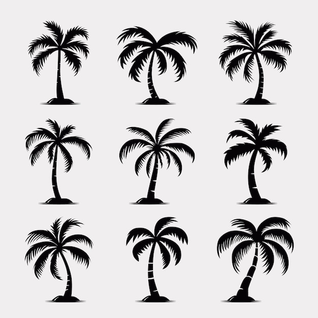 Vector Palm Trees Set d'icônes de palmiers isolés Silhouettes de palmier Modèle de conception pour des vacances tropicales Plage Concept d'été Illustration vectorielle Vue avant