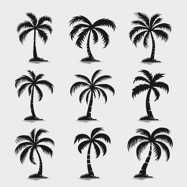 Vector Palm Trees Set d'icônes de palmiers isolés Silhouettes de palmier Modèle de conception pour des vacances tropicales Plage Concept d'été Illustration vectorielle Vue avant