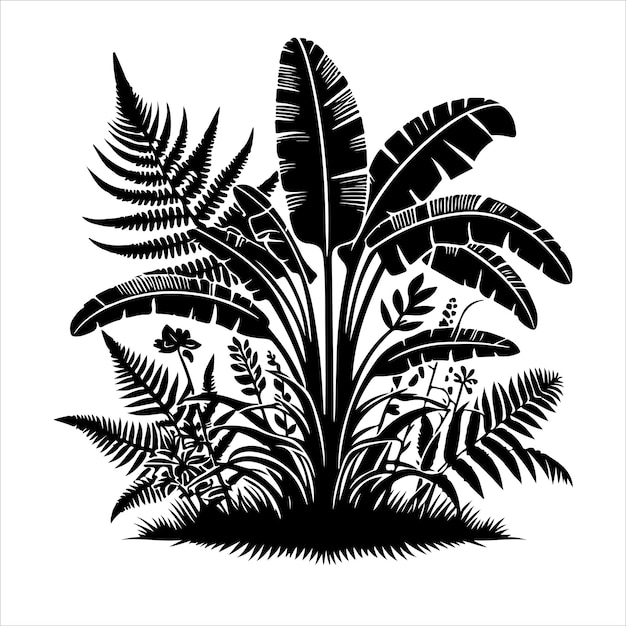 Vector De Plantes De La Jungle Vector De Silhouettes De Plantes Intérieures Ou D'arbres D'intérieur