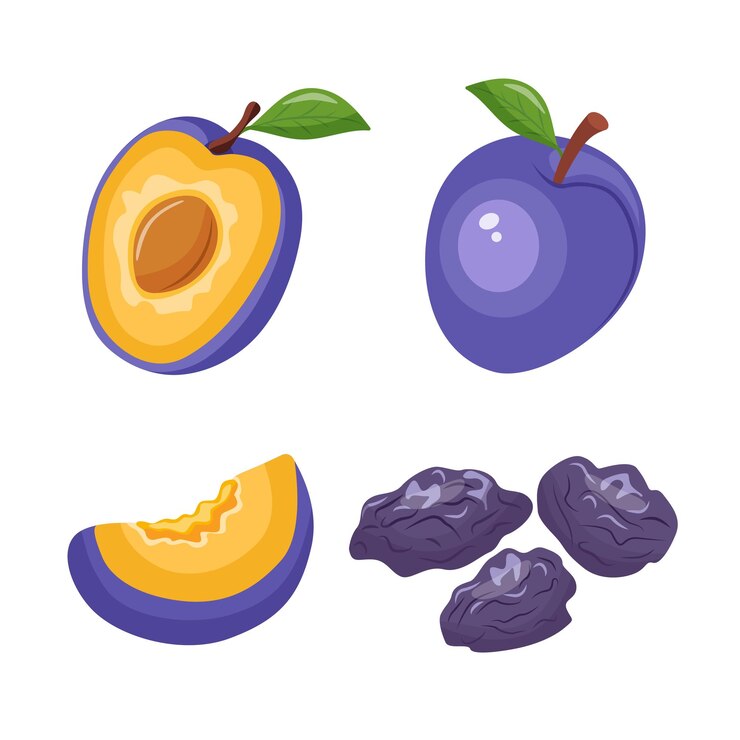 Vecteur vector de prunes fraîches et séchées sur fond blanc vecteur de prunes entières et mi-prunes