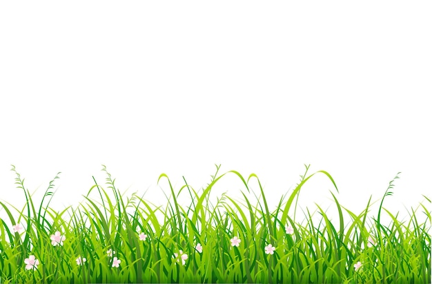 Vector réaliste détaillé 3D de l'herbe verte numéro un