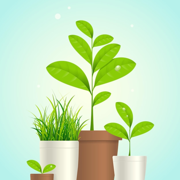 Vector réaliste détaillé 3D de plantes d'intérieur vertes différentes