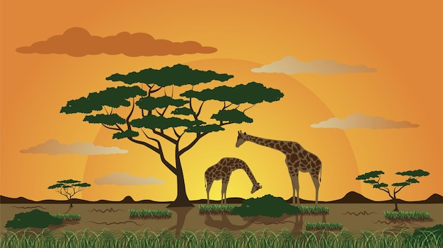 Vector de safari Giraffe sur le fond du soleil africain Safari de la nature