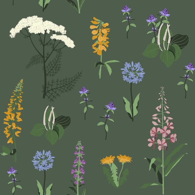 Vecteur vector sans couture belle illustration avec des fleurs sauvages sur un fond vert pour la décoration des textiles l'emballage du web design