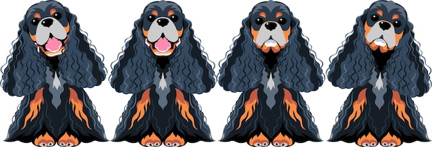 Vector Set Chiens American Cocker Spaniel Noir Et Or Assis Icône Design Plat