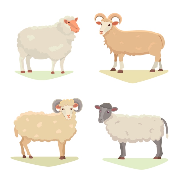 Vector set moutons mignons et Ram isolé illustration rétro. Silhouette de moutons debout sur blanc. Ferme fanny traire les jeunes animaux. Style de bande dessinée