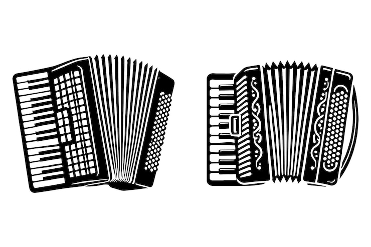 Vecteur vector de silhouette d'accordéon avec fond blanc