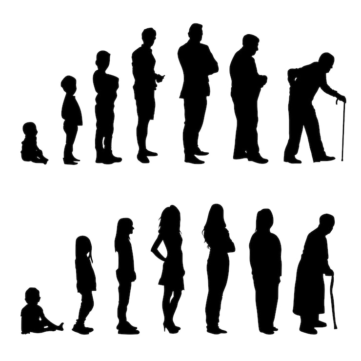 Vecteur vector de la silhouette humaine du cercle de vie
