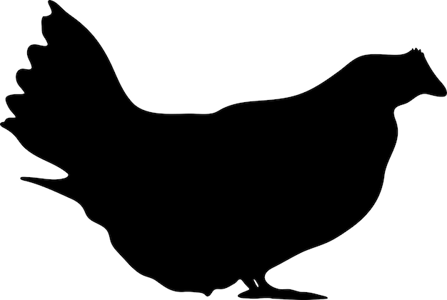 Vecteur vector ou silhouette de poulet