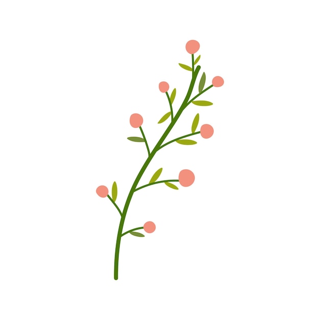 Vecteur vector simple dessiné à la main avec des baies plante d'été de printemps sur fond blanc isolé