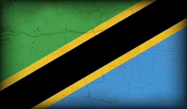 Vectore De Drapeau à Texture Vintage De La Tanzanie