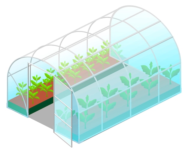 Verre à Effet De Serre Ouvert Avec Des Plantes Vertes En Vue Isométrique Isolé Sur Blanc