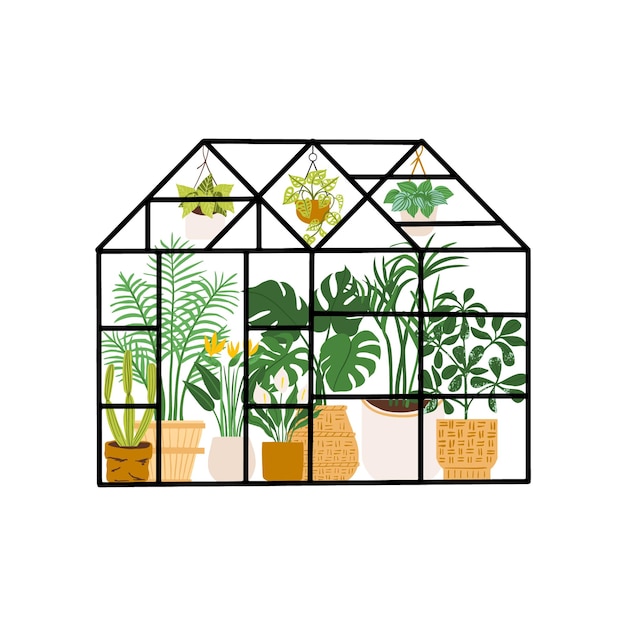 Vecteur verre orangerie jardin botanique serre fleurs et plantes en pot jardinage illustration