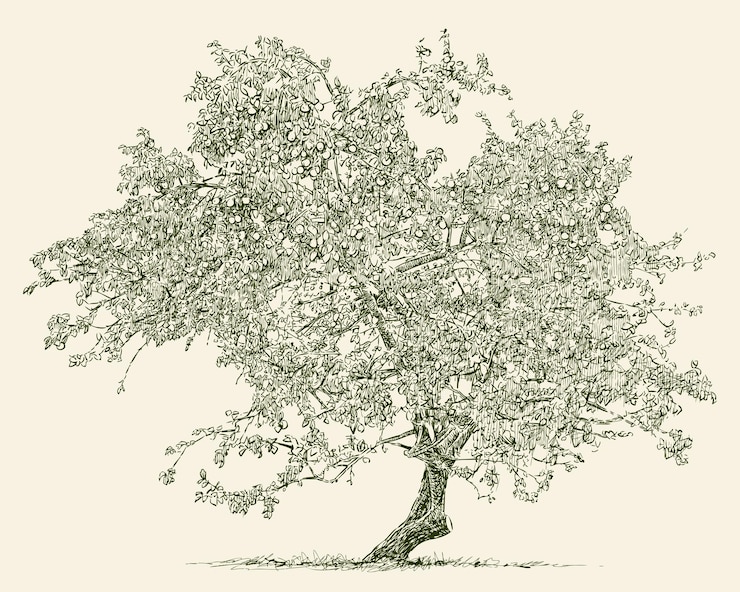 Vecteur vieux pommier