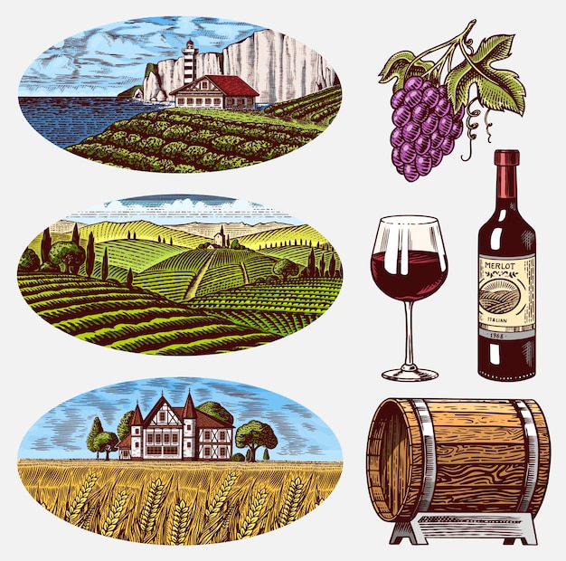 Vecteur vignobles et ensemble de vin raisins et tonneau en bois plantation de vigne pour les étiquettes de bouteilles champs ruraux collines de blé paysage gravé croquis vintage dessiné à la main pour le bar à affiches d'alcool et le menu du restaurant