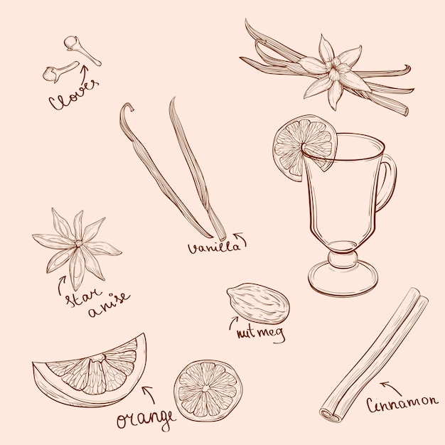 Vin Chaud Et épices Orange Pomme Cannelle Oeillet Anis Vanille Clou De Girofle Gingembre Illustration Vectorielle Dessinés à La Main Dans Le Style De Croquis Boisson D'hiver Classique