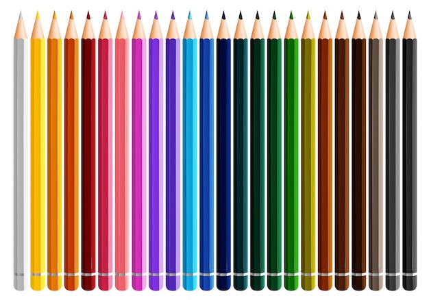 Vecteur vingt-quatre crayons de couleur sur fond blanc