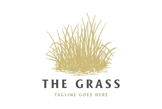 Vintage Retro Grass Meadow Lawn Ou Wheat Rice Farm Logo Design Vector