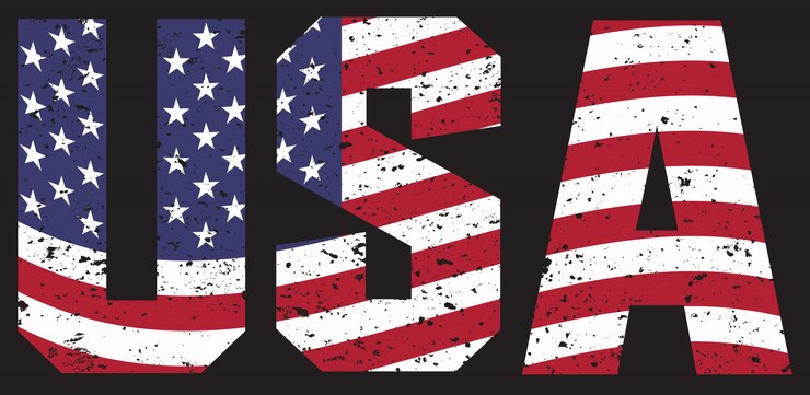 Vecteur vintage usa text avec drapeau