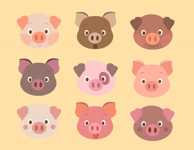 Vecteur visage de modèle de porc