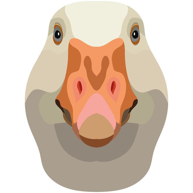 Vecteur visage d'oie une illustration du museau d'un ornithorynque est représentée portrait lumineux sur fond blanc graphiques vectoriels logo à plumes