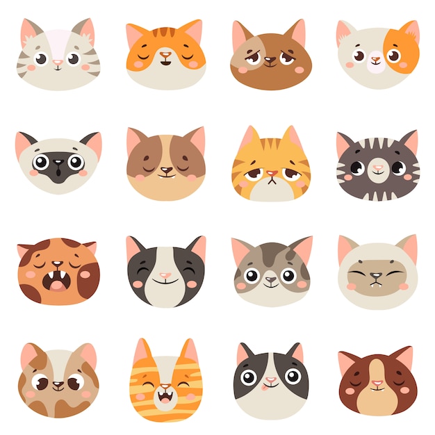 Visages de chats mignons