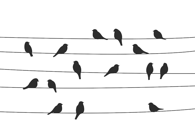 Volée d'oiseaux sur les lignes électriques silhouettes vectorielles