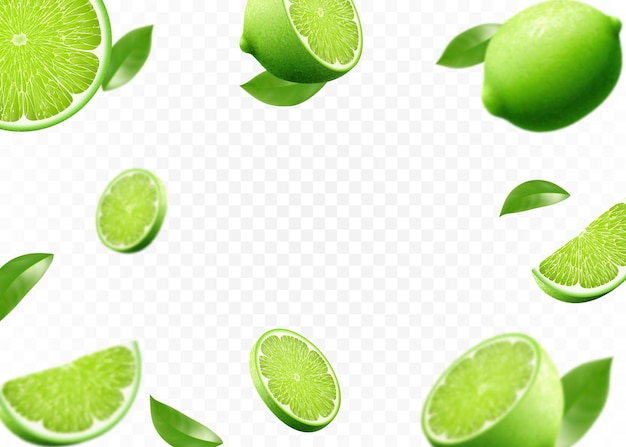 Voler des citrons verts frais et des tranches de citron vert avec des feuilles avec effet de flou Illustration vectorielle 3d réaliste isolée sur fond blanc