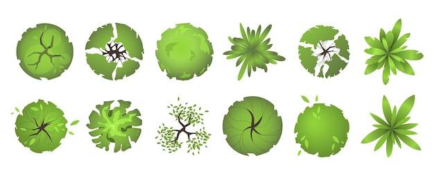 Vecteur vue de dessus des arbres ensemble de vecteurs de plantes et d'arbres de couleurs différentes pour la conception architecturale et paysagère