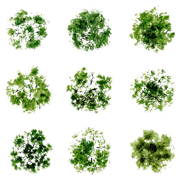 vue de dessus de vecteur d'arbres et d'arbustes illustrations vectorielles définir des éléments de paysage pour le parc de jardin