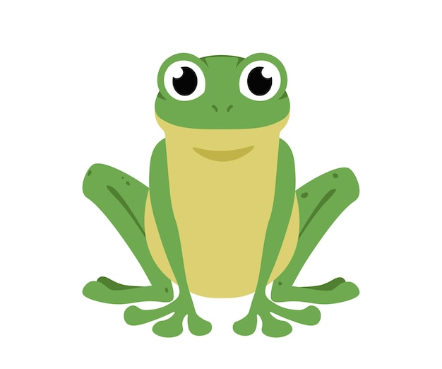 Vue De Face Drôle De Grenouille D'un Animal Aquatique Mignon Une Grenouille Assise Avec Des Yeux Exorbités Vecteur De Dessin Animé Plat