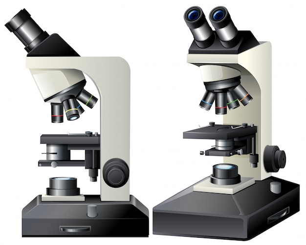 Vue De Face Et De Microscope