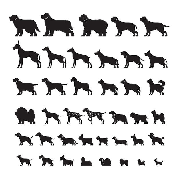 Vue Latérale Des Races De Chiens, Ensemble De Silhouette