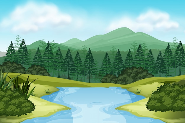 Une vue sur la nature