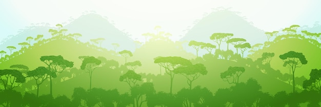 Vue panoramique sur la jungle des collines de la forêt tropicale de la lumière du matin de la nature du sud