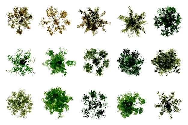 vue vectorielle supérieure des arbres et des buissons illustrations vectorielles éléments de paysage définis pour le jardin