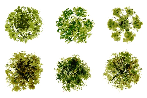 vue vectorielle supérieure des arbres et des buissons illustrations vectorielles éléments de paysage pour le parc de jardin