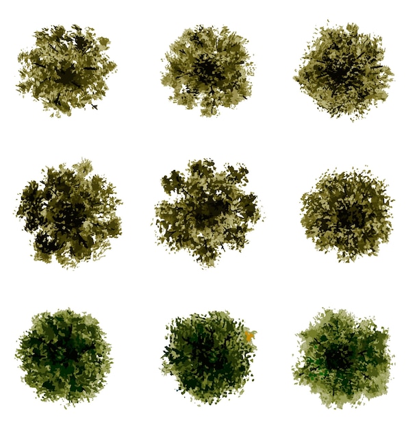 vue vectorielle supérieure des arbres et des buissons illustrations vectorielles éléments de paysage pour le parc de jardin