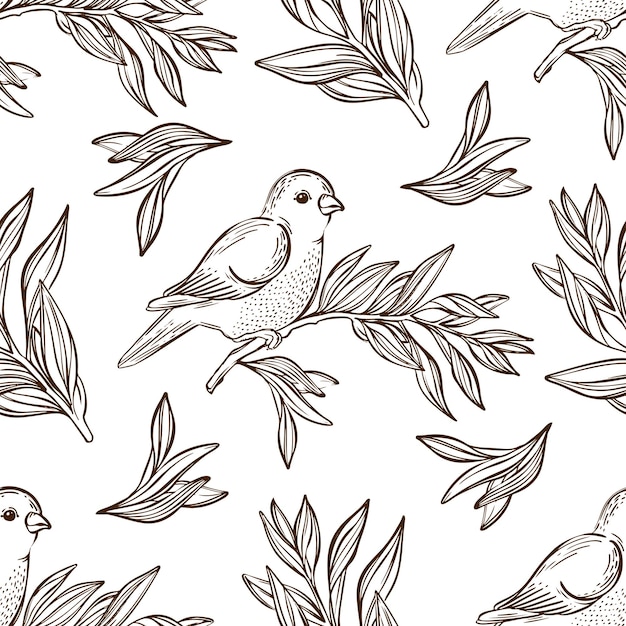 Warbler Sur Branch Sketch Vintage Seamless Pattern Vector