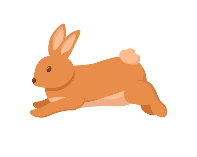 Vecteur webcute petit lapin sautant. lapin