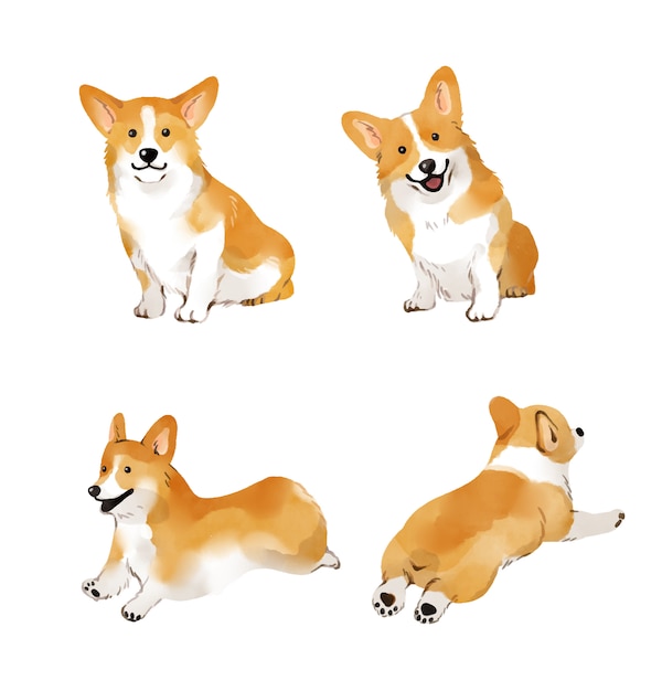 Vecteur welshcorgi